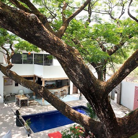 تاماريندو 15 Love Bed & Breakfast المظهر الخارجي الصورة