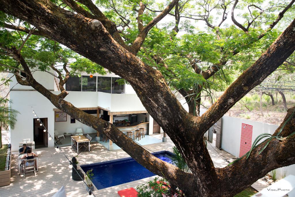 تاماريندو 15 Love Bed & Breakfast المظهر الخارجي الصورة